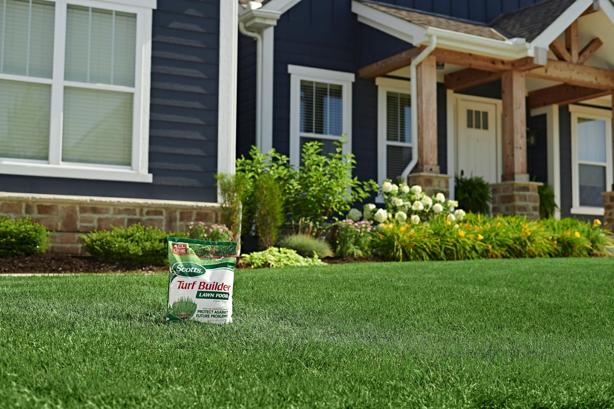 Applying on a wet lawn shows quick results without mandatory watering.