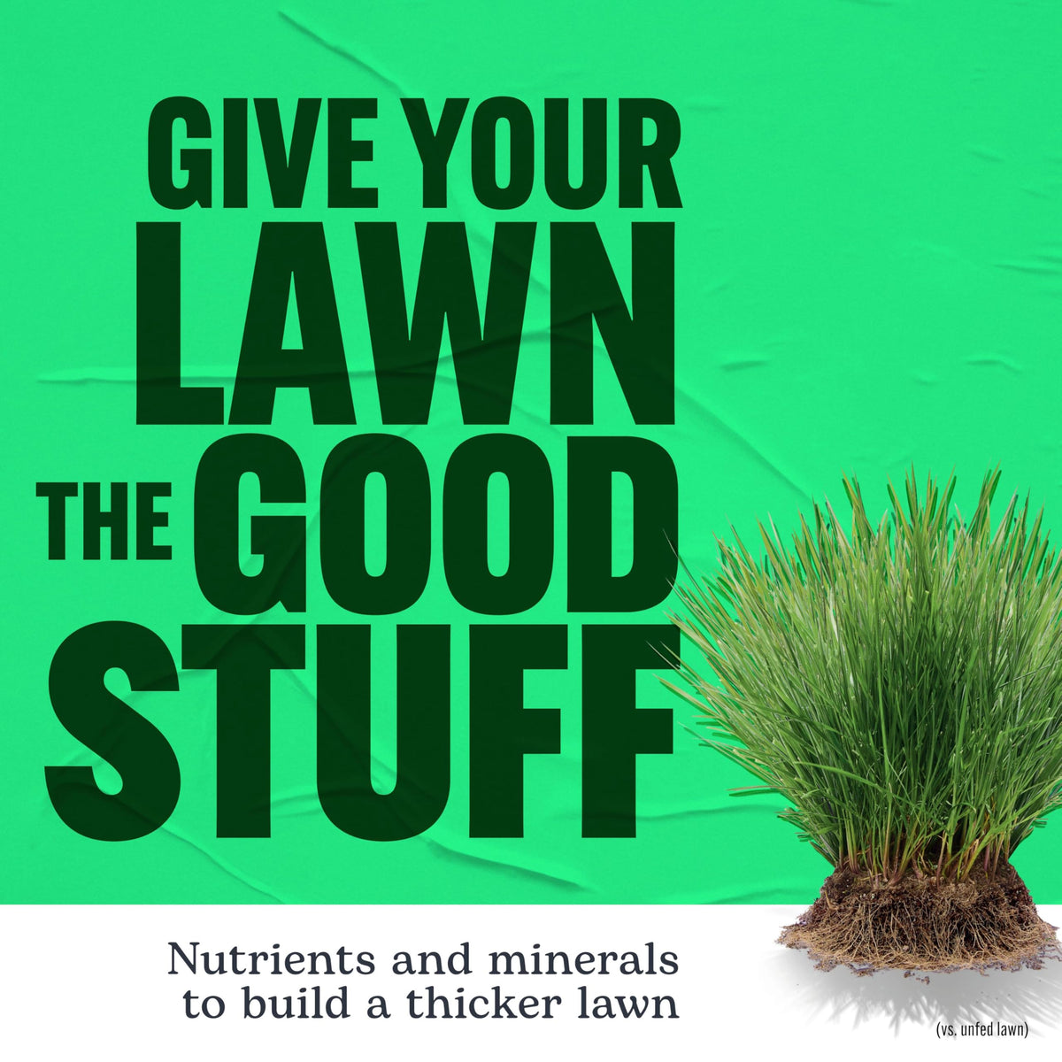 All grass types supported by Scotts Turf Builder Lawn Food at the Turf Builder rate.