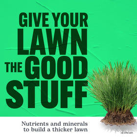 All grass types supported by Scotts Turf Builder Lawn Food at the Turf Builder rate.