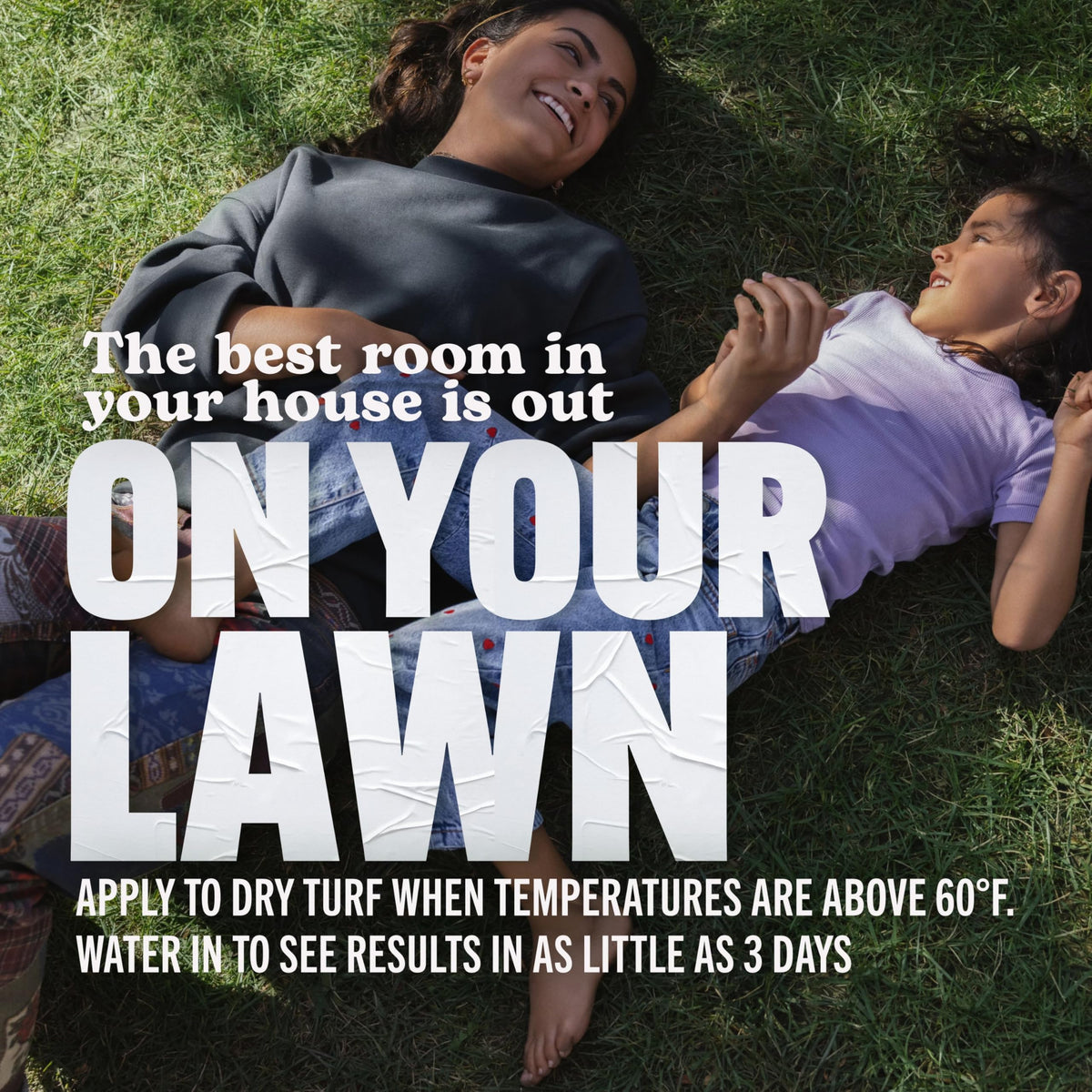 Apply Scotts Turf Builder Lawn Food four times a year for best results.