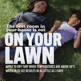 Apply Scotts Turf Builder Lawn Food four times a year for best results.