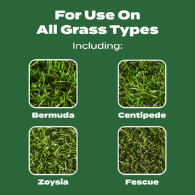 Scotts Turf Builder Lawn Food Northern works on any grass type.