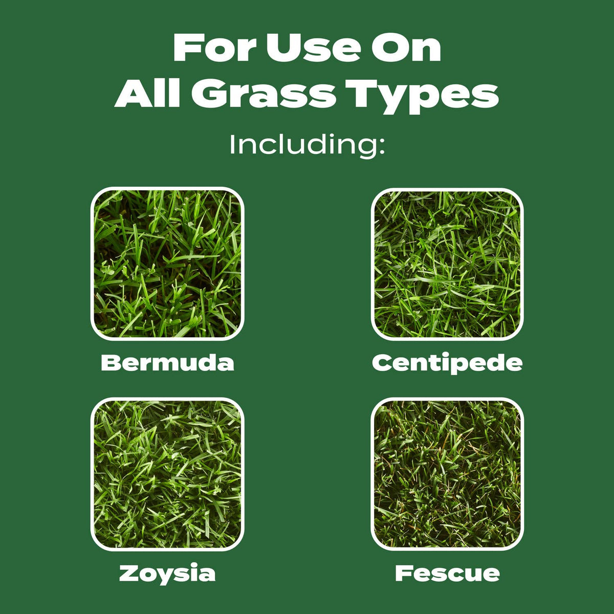 Spreading on a dry lawn with Scotts Turf Builder Lawn Food Northern is easy.