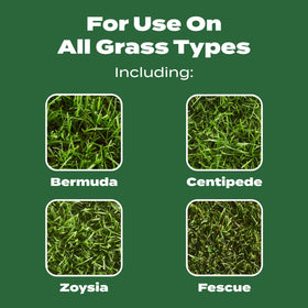 Spreading on a dry lawn with Scotts Turf Builder Lawn Food Northern is easy.