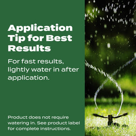 Scotts Turf Builder Lawn Food Northern encourages strong root growth in various grasses.