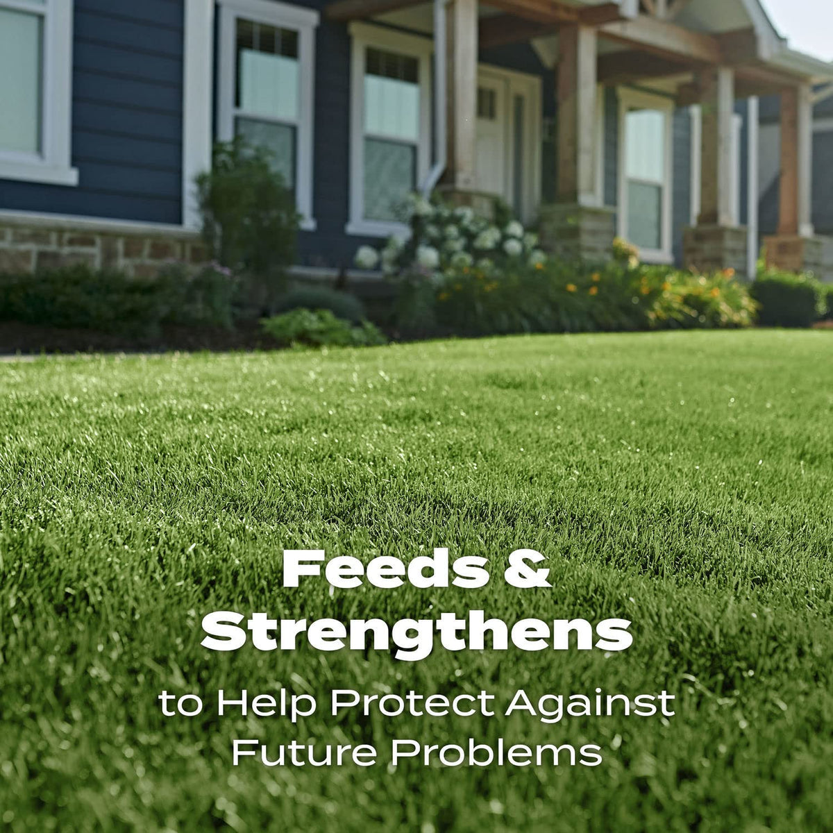 Vibrant green turf shown after using Scotts Turf Builder Lawn Food Northern.