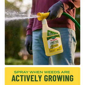 Reuse-friendly applicator with refill-compatible design