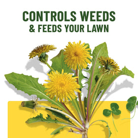 Close-up showing weed targets like dandelions and clover