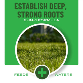 Promotes greener, healthier-looking lawn after Scotts starter application.