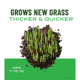 Supports seedling establishment with nutrients for deep root growth.
