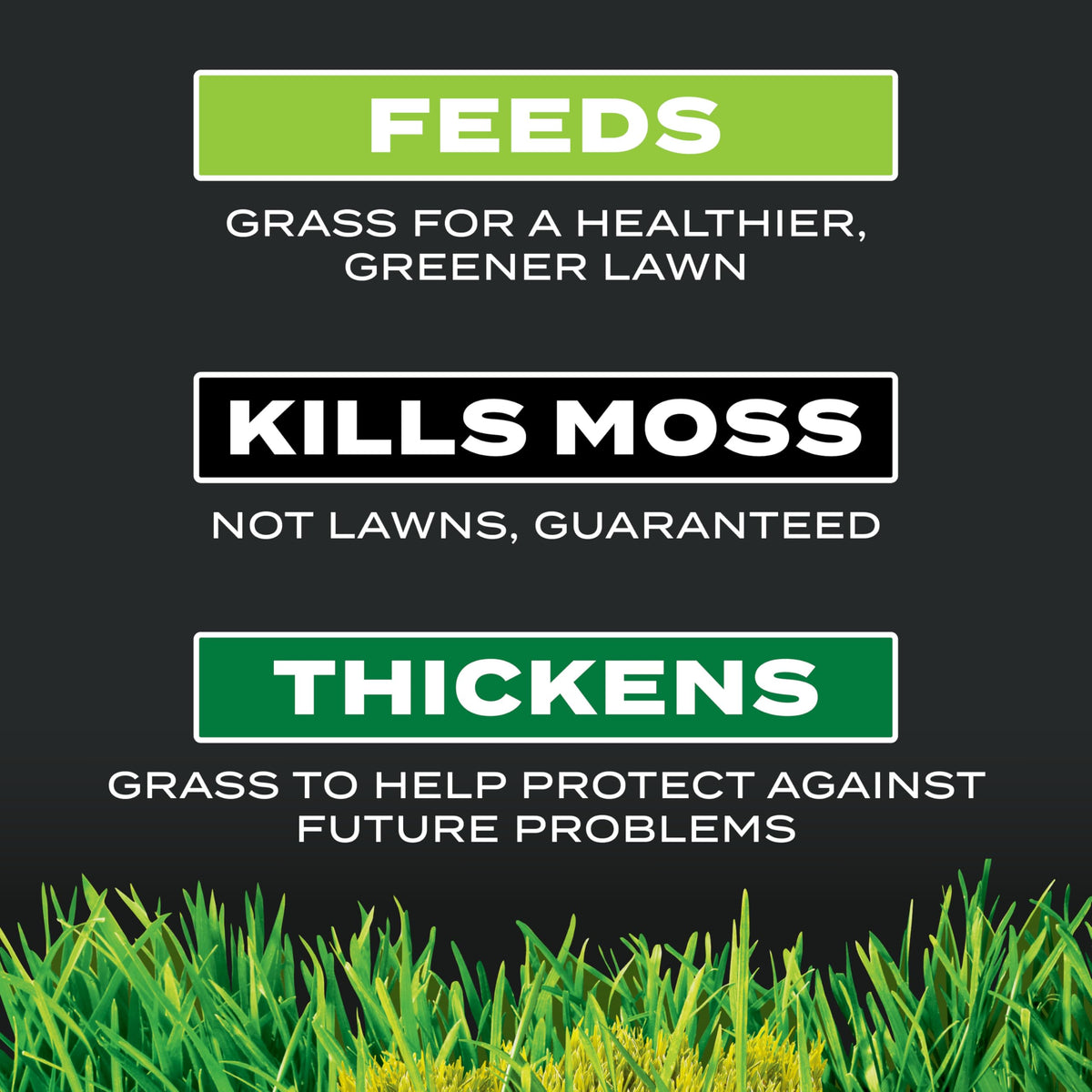 Scotts Turf Builder moss killer and fertilizer showing all-in-one lawn care benefits