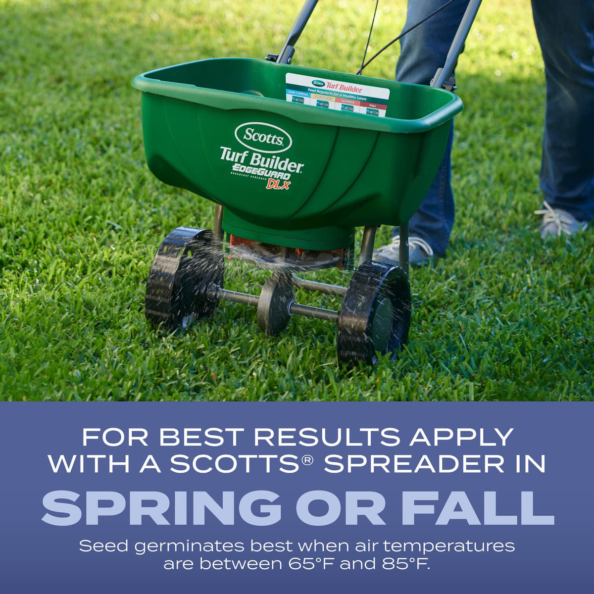 New lawn seeding process shown with Scotts Turf Builder for spring or fall.