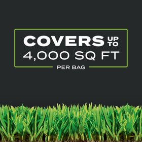 Scotts Turf Builder is safe for pets and people once foliage dries.