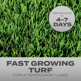 Scotts Turf Builder Quick Fix Mix seeds germinate in days for quick lawn recovery
