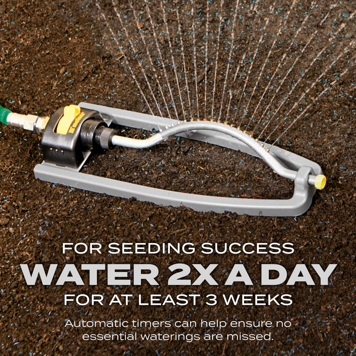 Scotts Turf Builder Quick Fix Mix requires daily watering until seedlings reach two inches