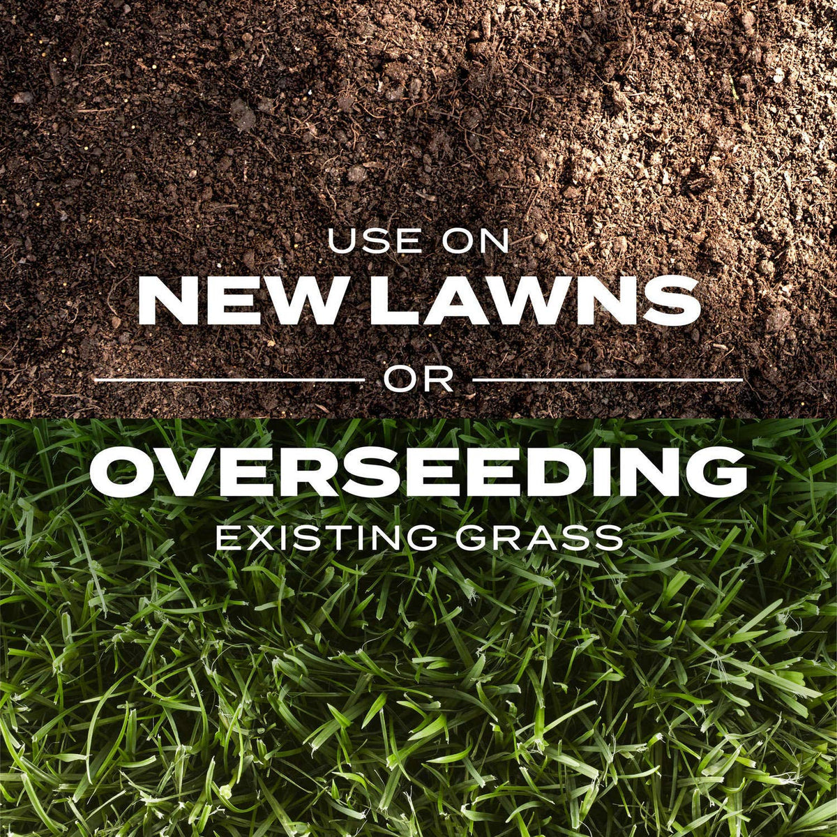 Spring or fall application with Scotts Turf Builder for optimal growth