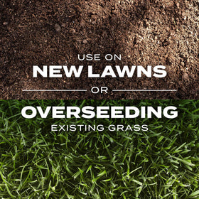 Spring or fall application with Scotts Turf Builder for optimal growth