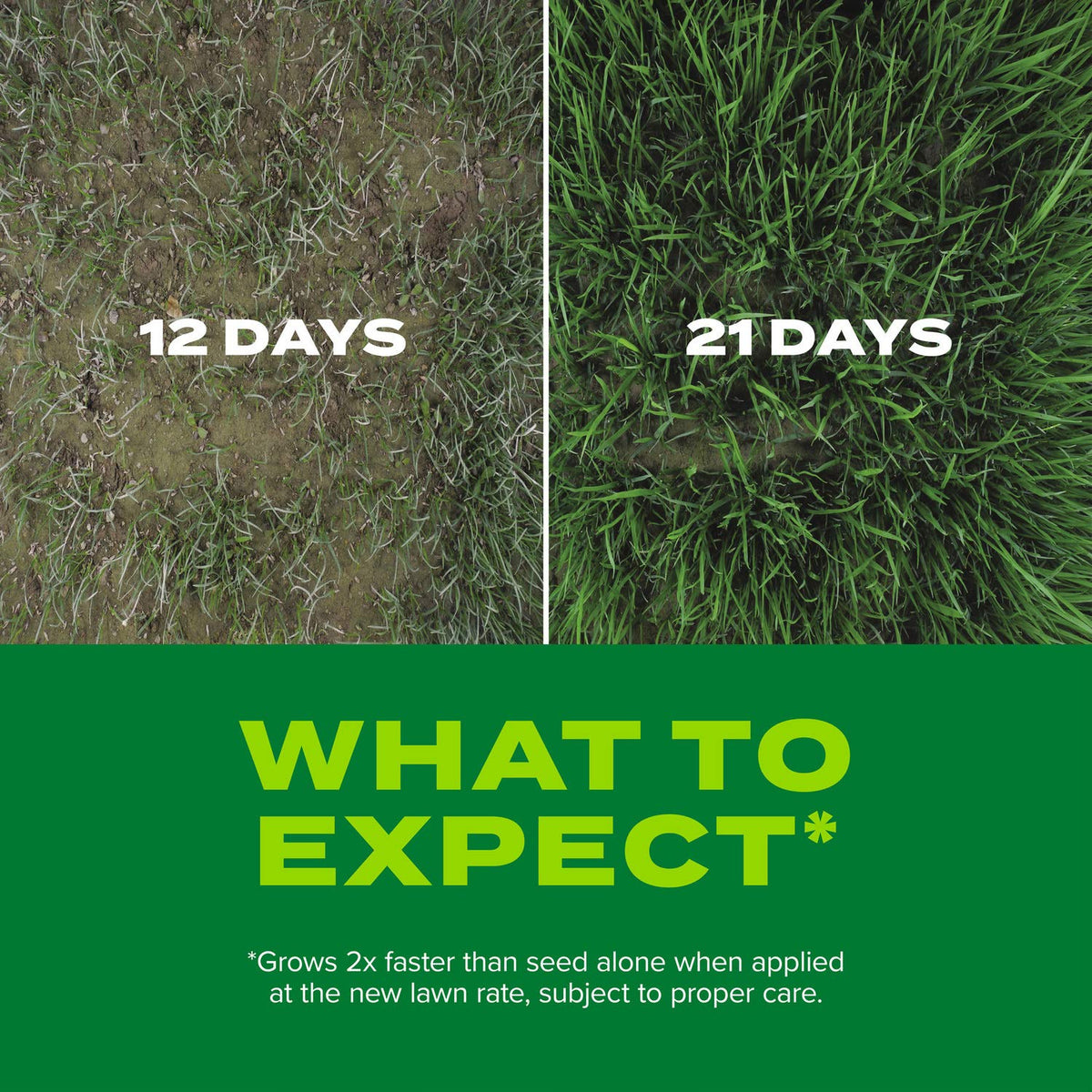 Lush green lawn after using Scotts Turf Builder Rapid Grass Sun and Shade Mix
