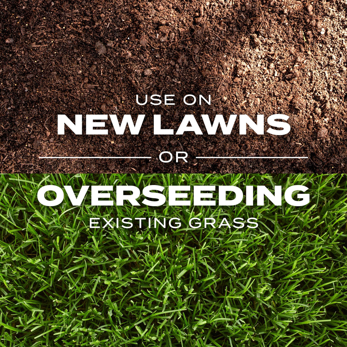 Scotts Turf Builder Rapid Grass overseeding tips for denser turf.