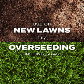 Scotts Turf Builder Rapid Grass overseeding tips for denser turf.