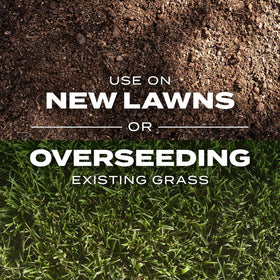 Scotts Turf Builder Rapid Grass Spreader Application ensures even seed distribution.