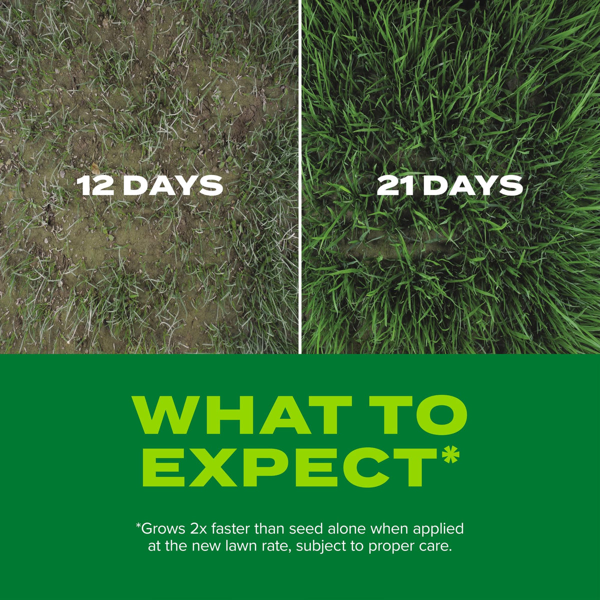 Spreader-ready application with Scotts bag guidance for even coverage