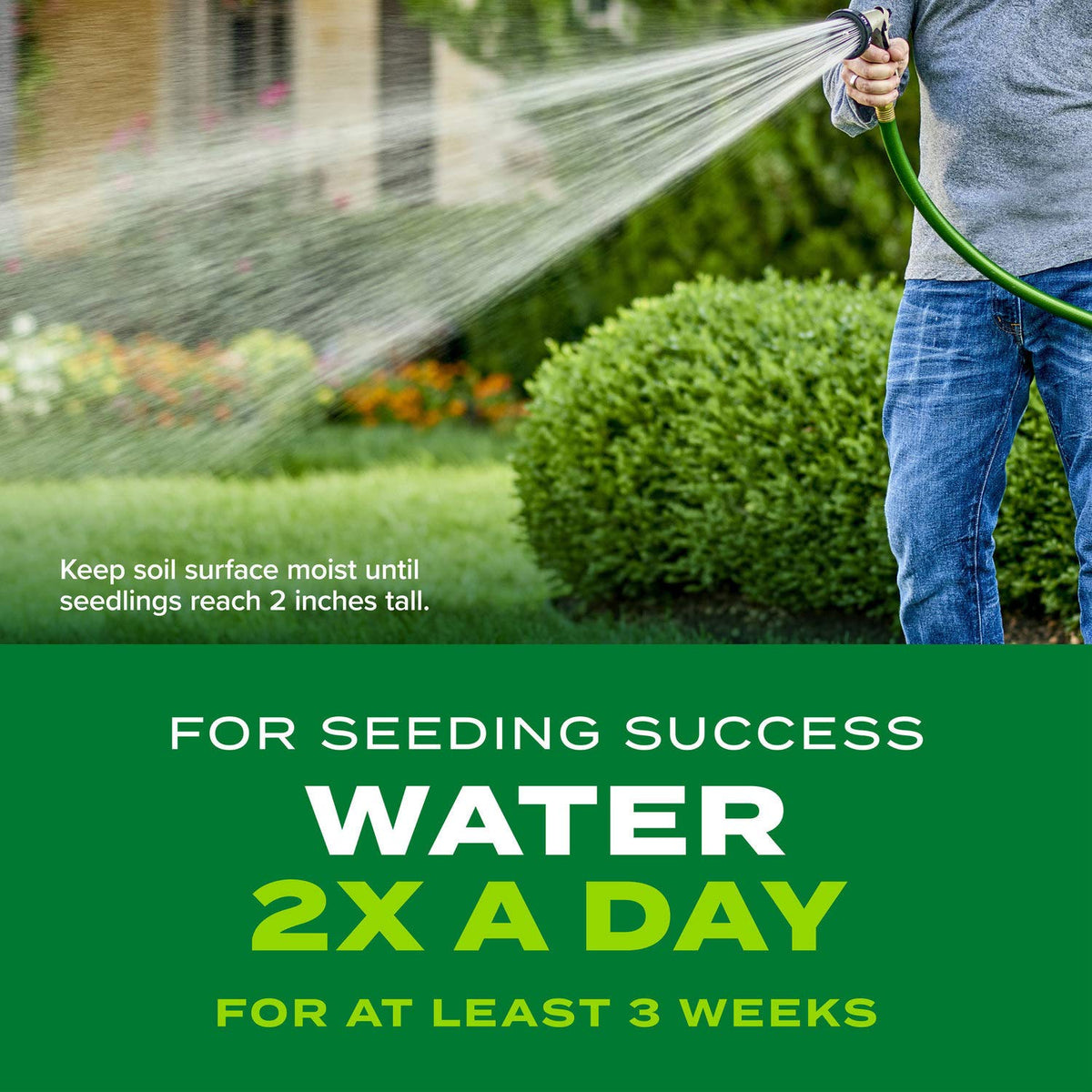 Scotts Turf Builder Rapid Grass Spring Fall Application emphasizes ideal planting temps.