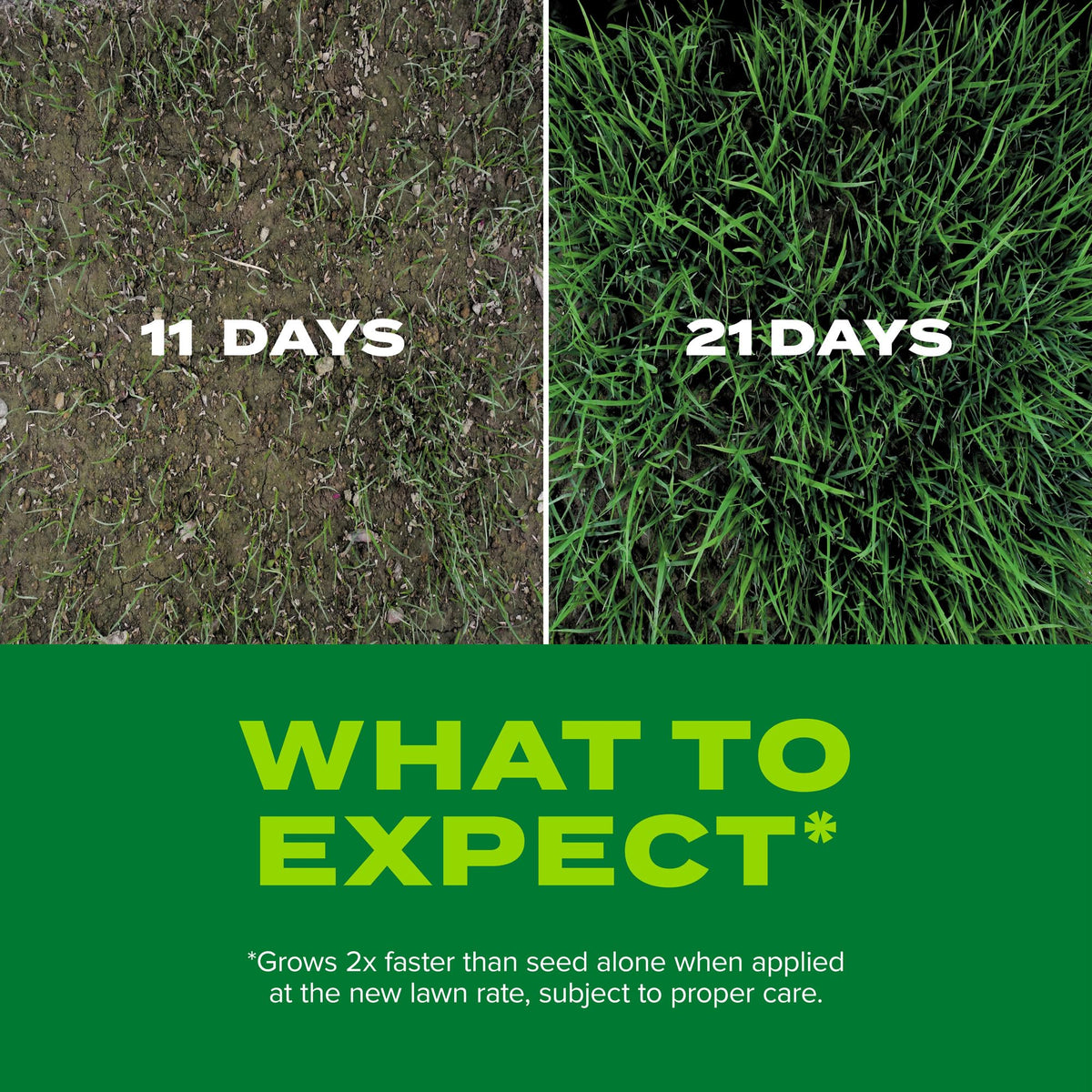 Scotts Turf Builder Rapid Grass spring application for optimal germination.