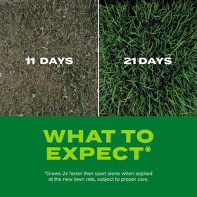 Scotts Turf Builder Rapid Grass spring application for optimal germination.