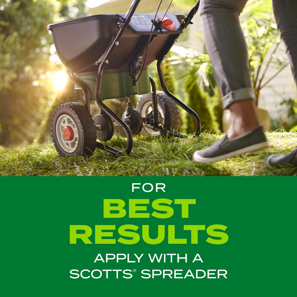 Scotts Turf Builder Rapid Grass watering schedule supports seedling growth.