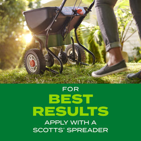 Scotts Turf Builder Rapid Grass watering schedule supports seedling growth.
