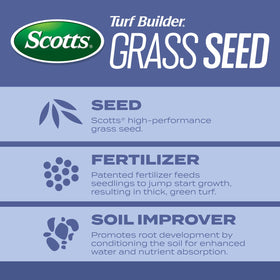 Root-building nutrition graphic for Scotts Turf Builder showing deeper roots potential.
