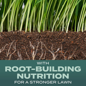 Scotts Turf Builder Root-Building Nutrition label highlights deep roots.