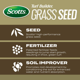Root-building nutrition components aiding deeper root growth in tall fescue