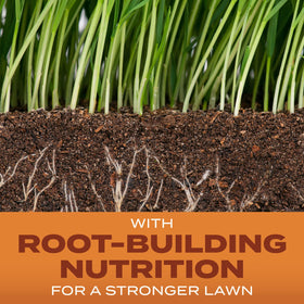 Scotts Root-Building Nutrition promotes deep root development for a resilient lawn.