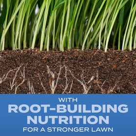 Scotts Turf Builder Root-Building Nutrition supports deep roots for a stronger lawn.