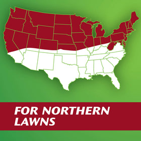 Scotts Turf Builder Seed Bare-spot repair accelerates lawn recovery.