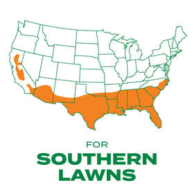 Seed, fertilizer, and soil improver combine to support germination and early root growth.