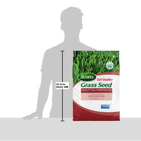 Scotts Turf Builder Seed Northern blend tailored for cooler climates and steady growth.
