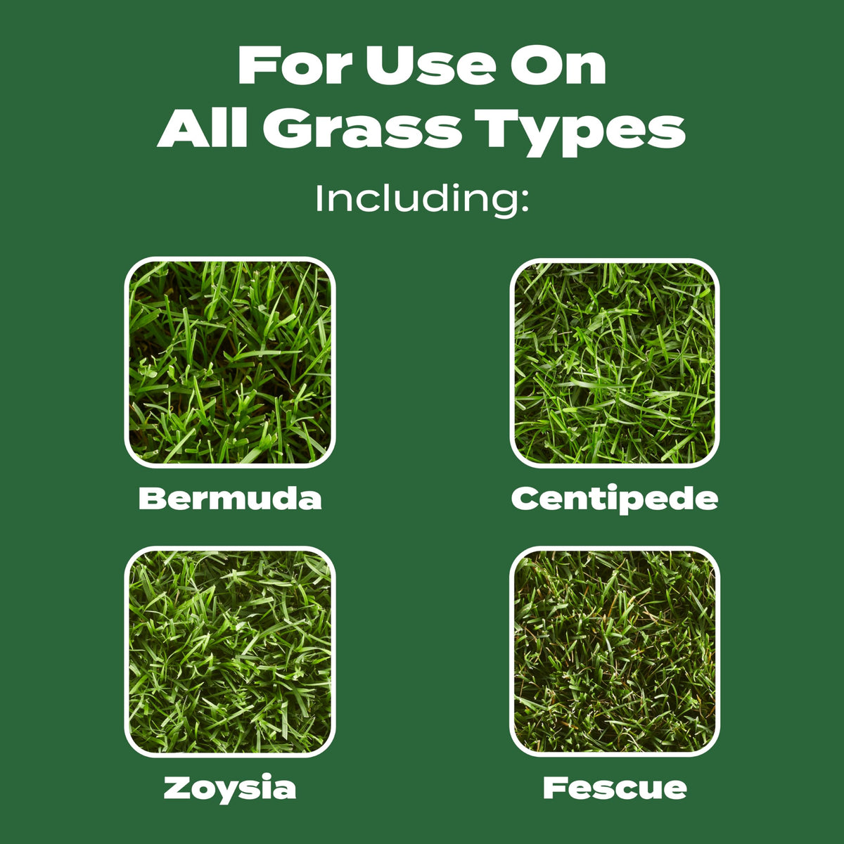 Scotts Turf Builder spreader-ready image illustrating even application settings.