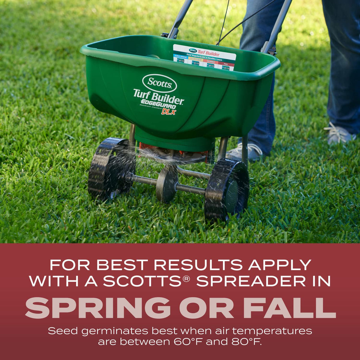 Lush green lawn thriving under direct sun with Scotts Sunny Mix