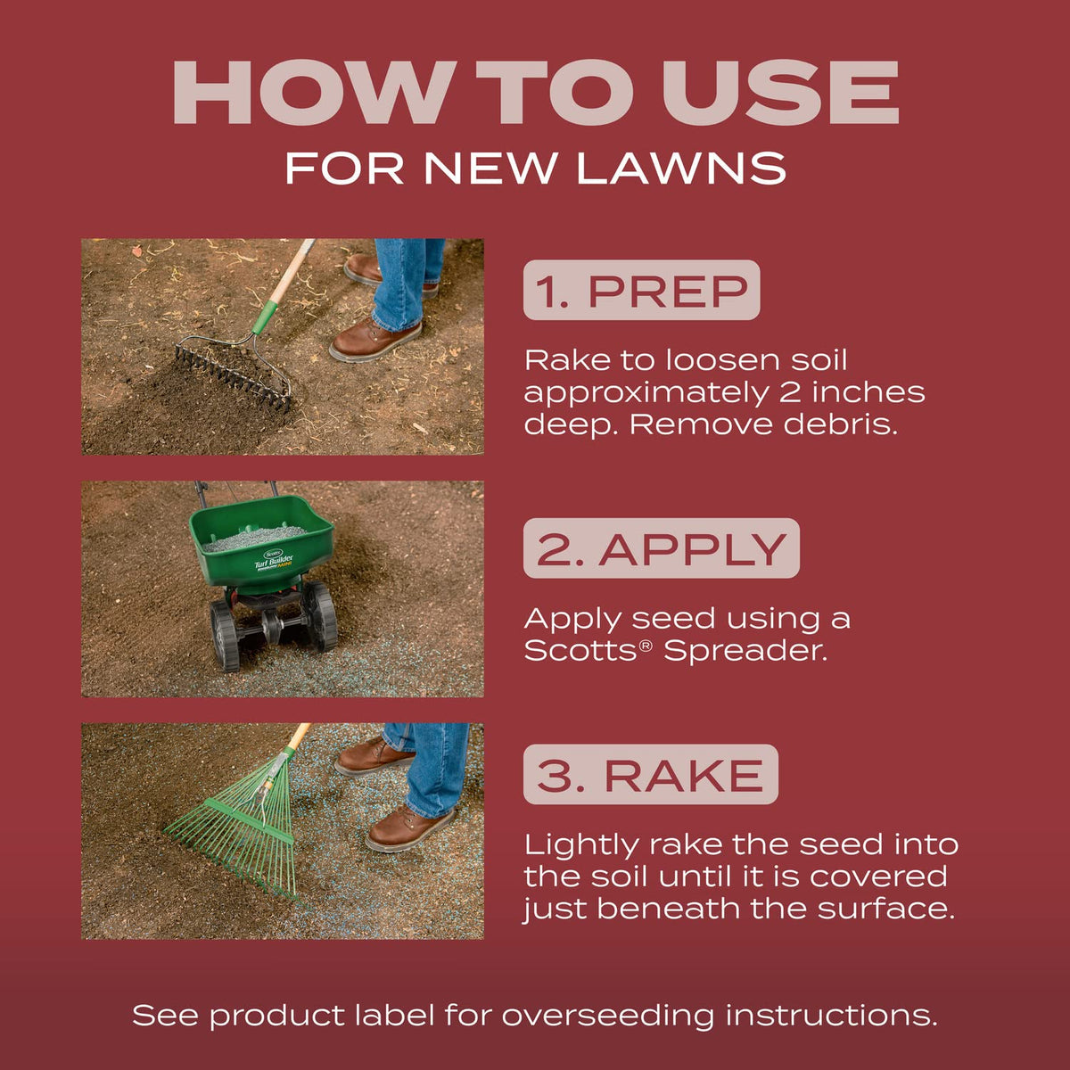 Watering and care steps to grow seedlings up to 2 inches