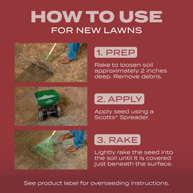 Watering and care steps to grow seedlings up to 2 inches