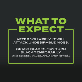 Healthy thick grass after Scotts Triple Action helps resist future moss