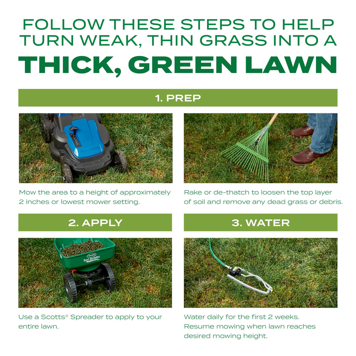 Scotts Turf Builder Thick'R Lawn after thick, greener turf.