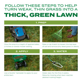 Scotts Turf Builder Thick'R Lawn after thick, greener turf.