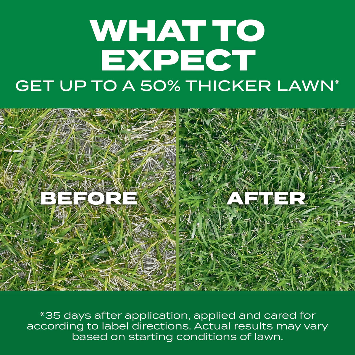 Scotts Turf Builder Thick'R Lawn watering guidance during germination.