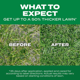 Scotts Turf Builder Thick'R Lawn watering guidance during germination.