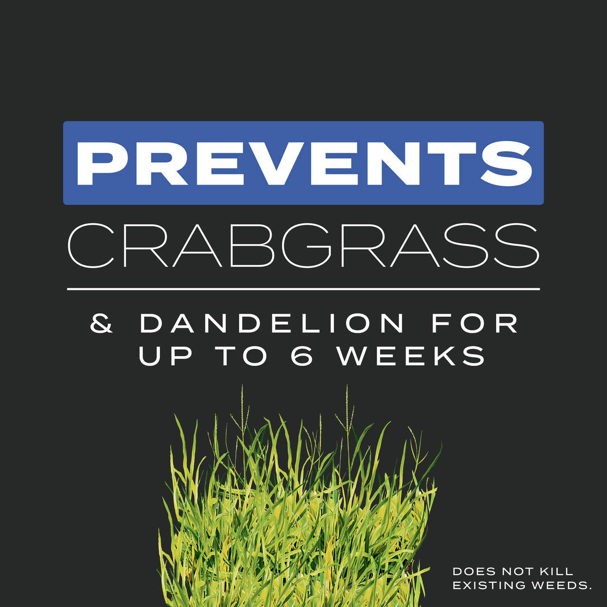 Scotts Turf Builder Triple Action prevents dandelion and crabgrass during seeding.