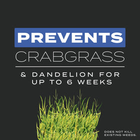 Scotts Turf Builder Triple Action prevents dandelion and crabgrass during seeding.